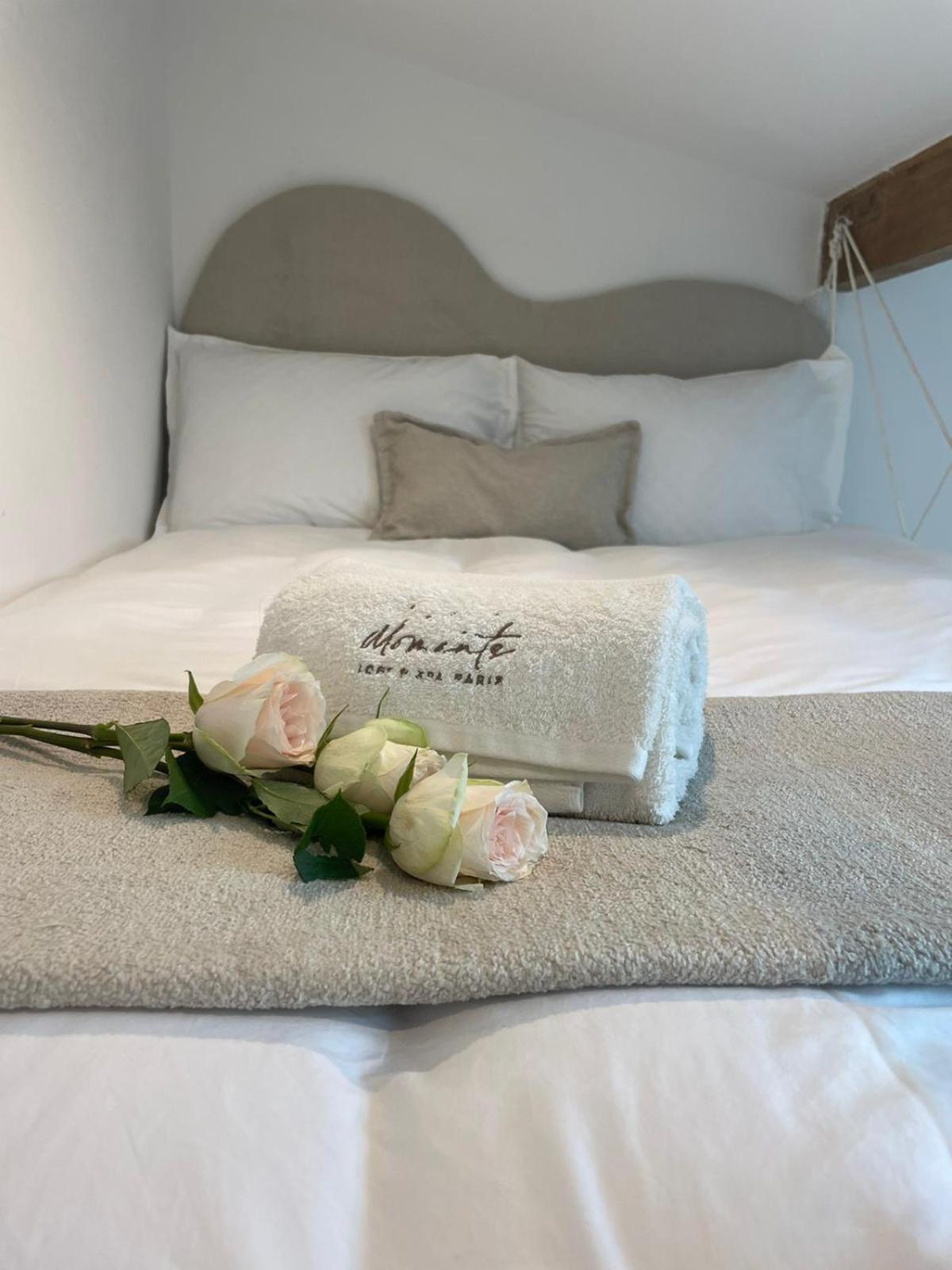 Moments Loft & Spa Paris Montesson Exterior foto